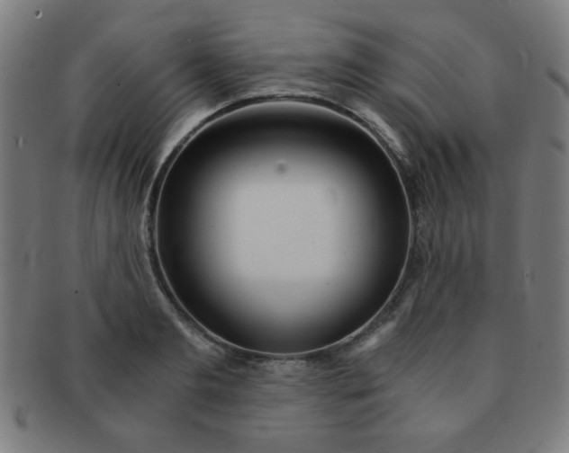 X0000091340893200708241220