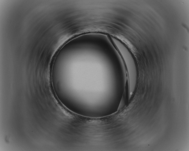 X0000091340894200708241220