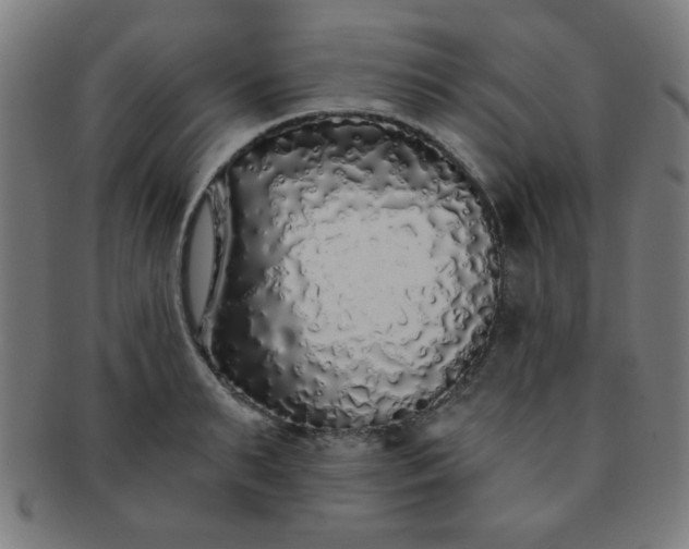 X0000091340895200708241220