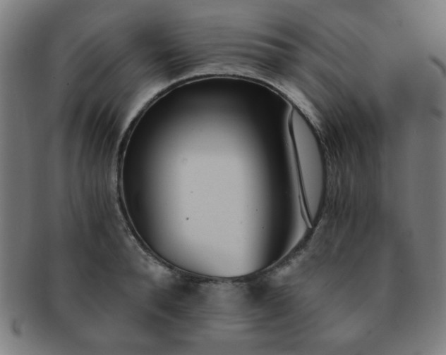 X0000091340896200708241220