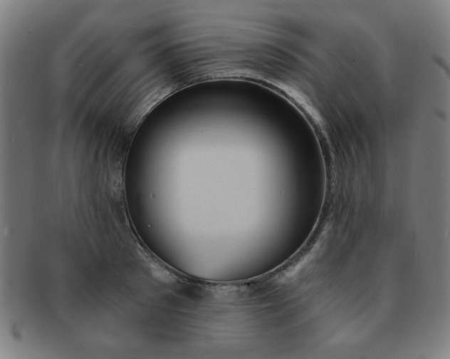 X0000091340897200708241220