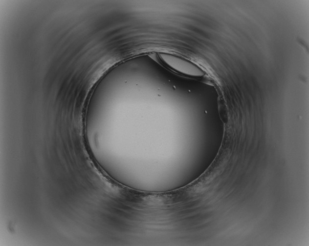 X0000091340898200708241220