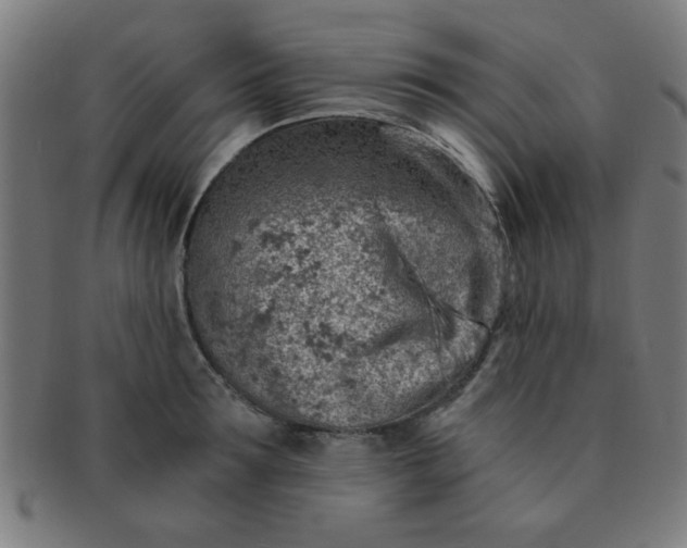 X0000091340899200708241220