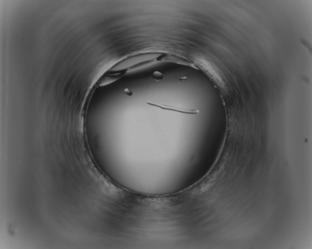 X0000091340900200708241220