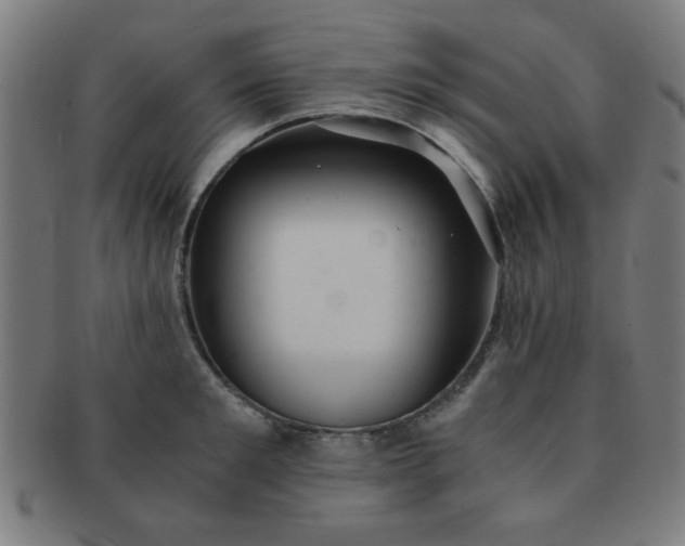 X0000091340901200708241220