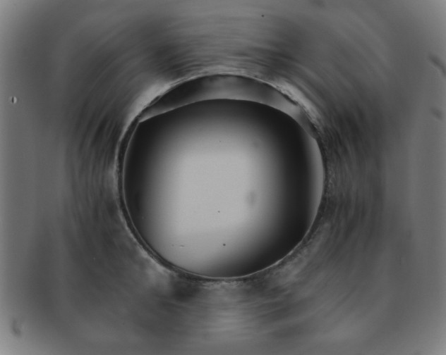 X0000091340902200708241220