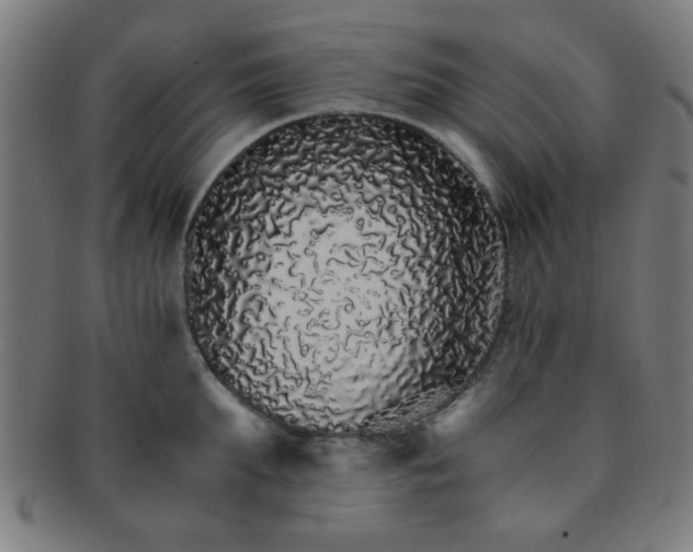 X0000091340903200708241220