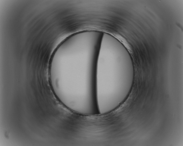 X0000091340904200708241220