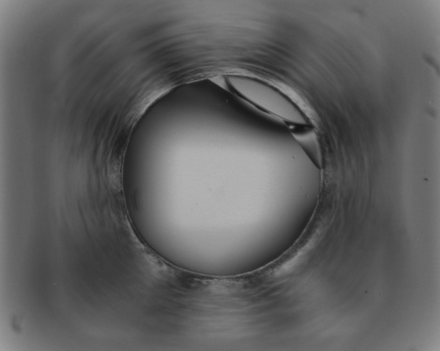 X0000091340905200708241220