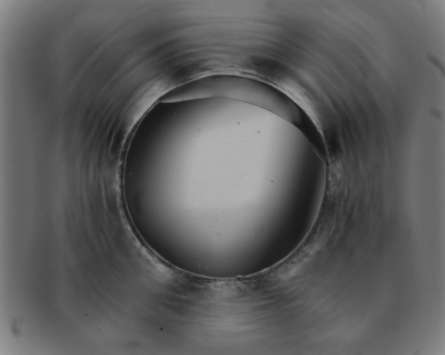 X0000091340906200708241220