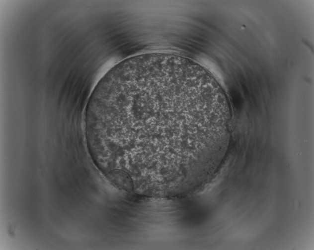 X0000091340907200708241220