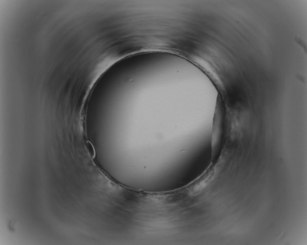 X0000091340908200708241220