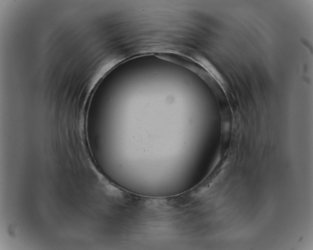 X0000091340909200708241220