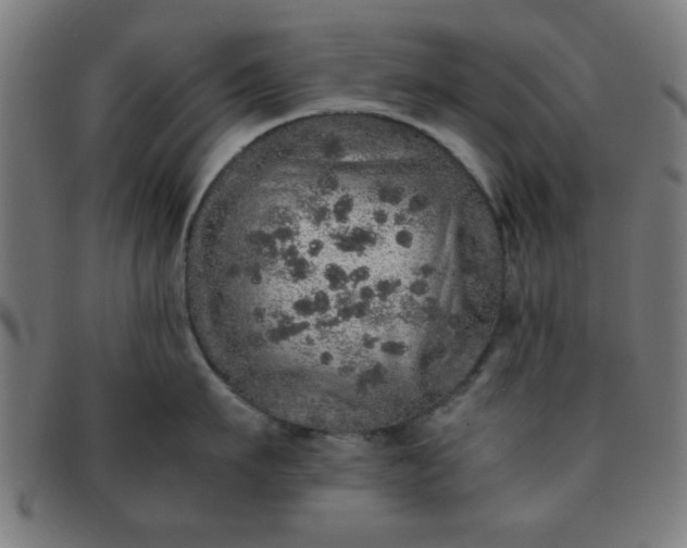 X0000091340911200708241220