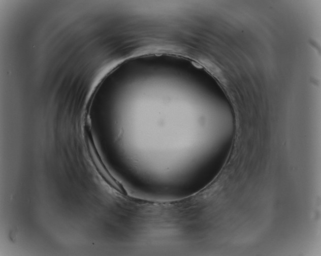 X0000091340912200708241220