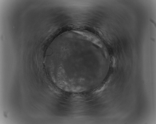 X0000091340913200708241219