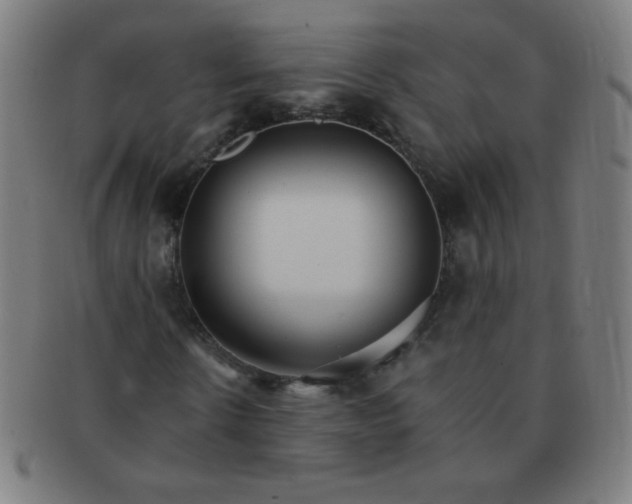 X0000091340914200708241219