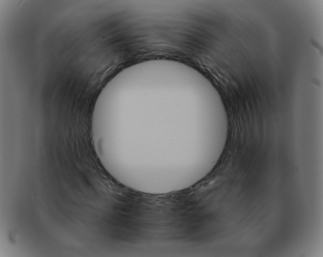 X0000091340916200708241219