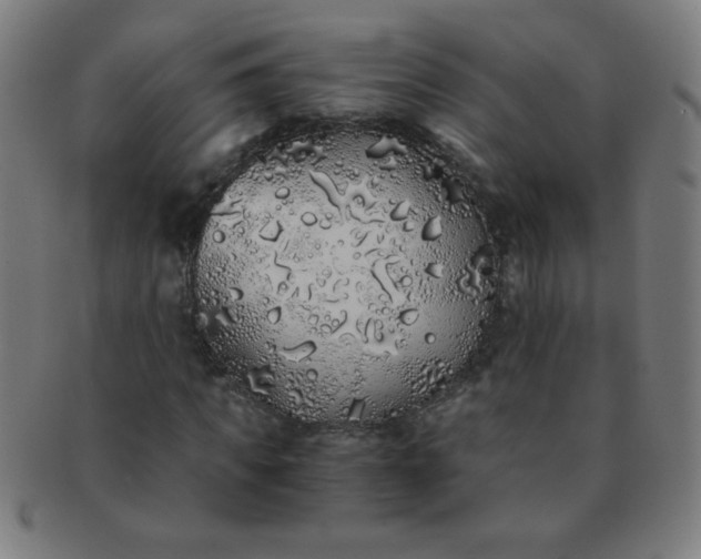 X0000091340917200708241219