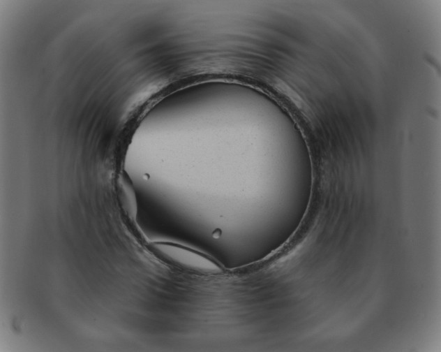 X0000091340922200708241219