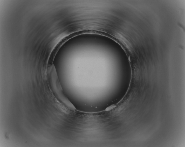 X0000091340924200708241219