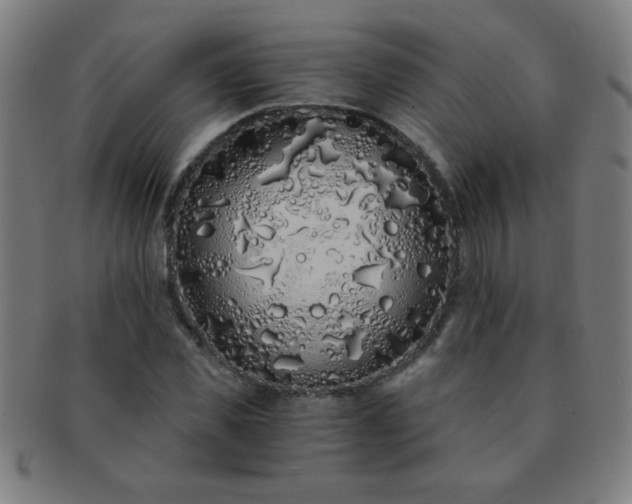 X0000091340925200708241219