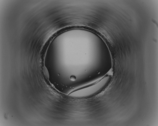 X0000091340926200708241219