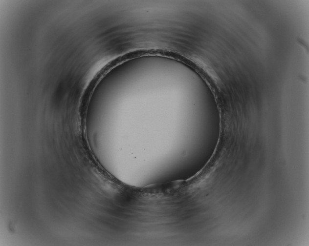 X0000091340927200708241219