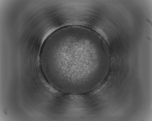 X0000091340928200708241219