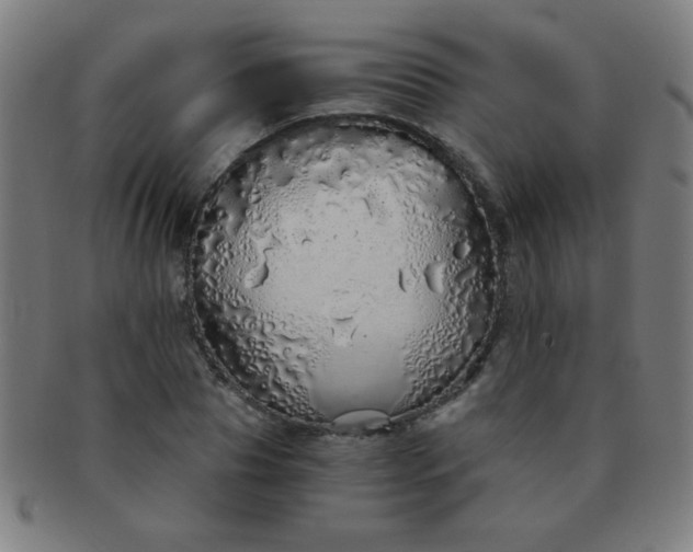 X0000091340929200708241220