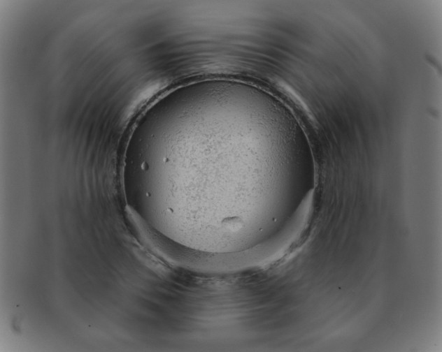 X0000091340930200708241220