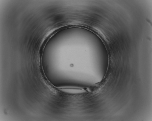 X0000091340931200708241220