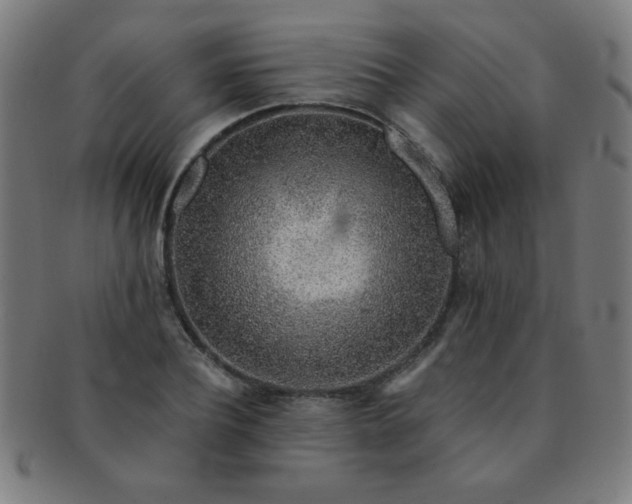 X0000091340932200708241220