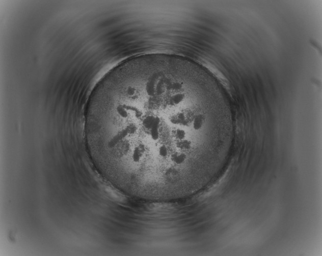 X0000091340933200708241220