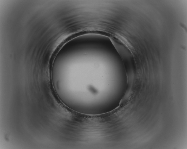 X0000091340934200708241220