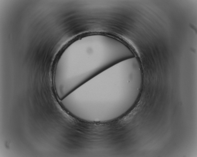 X0000091340935200708241220