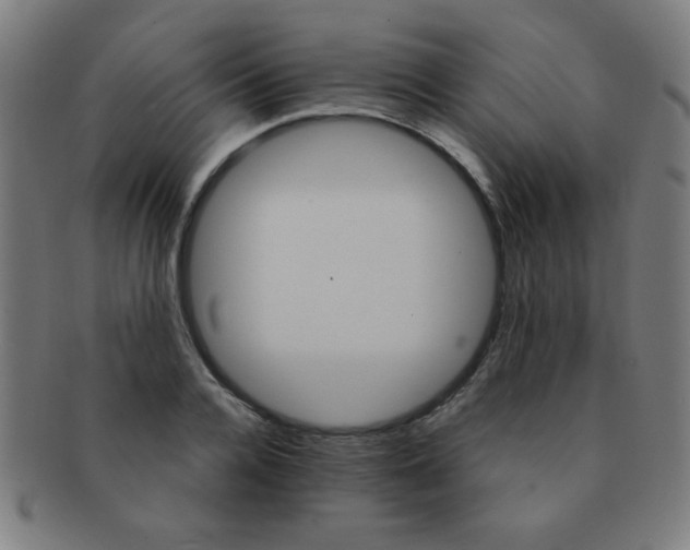 X0000091340936200708241220