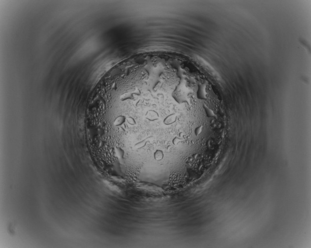 X0000091340937200708241220