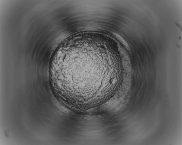 X0000091340938200708241220