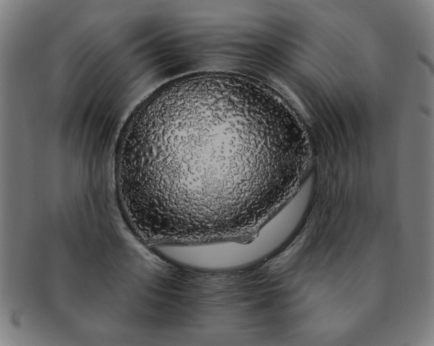 X0000091340939200708241220