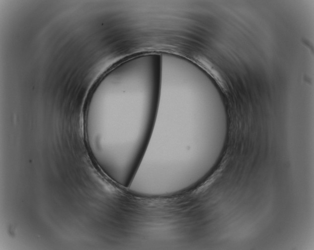 X0000091340940200708241220