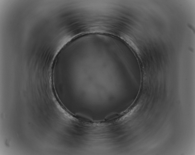 X0000091340941200708241220