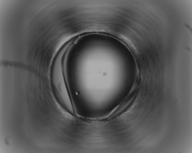 X0000091340942200708241220