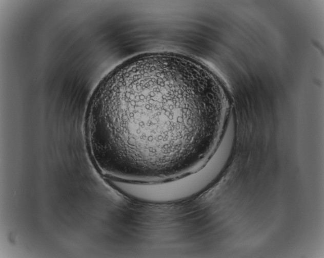 X0000091340943200708241220