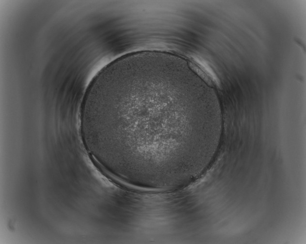 X0000091340944200708241220