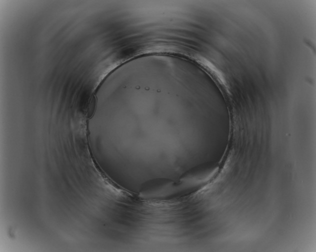 X0000091340945200708241220