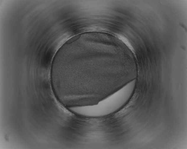 X0000091340946200708241220