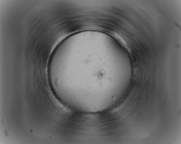 X0000091340947200708241220