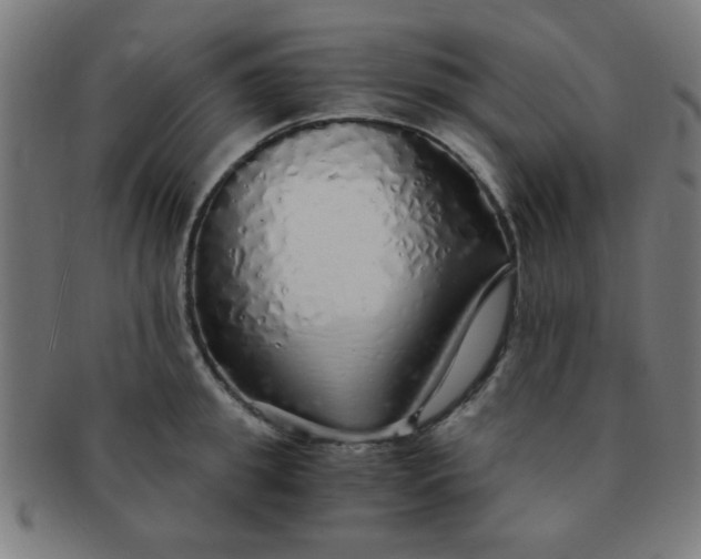 X0000091340949200708241220