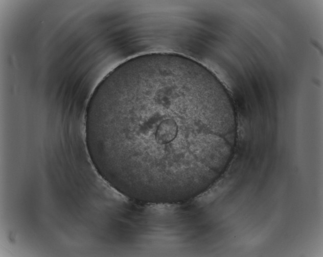 X0000091340950200708241220